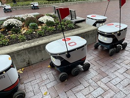 213 and other robots lined up around a cement planter