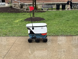 Food delivery robot number 213 on a rainy day.